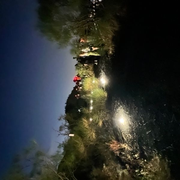 Parco del Vesuvio: Escursione sent n. 5-6-1 Gran Cono, Strada Matrone e Valle dell'Inferno con guida privata