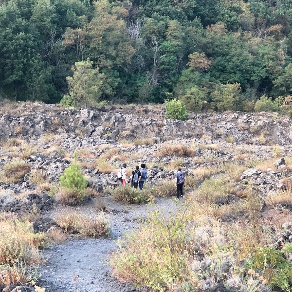 Parco del Vesuvio: Escursione sentiero n. 9, Fiume di lava