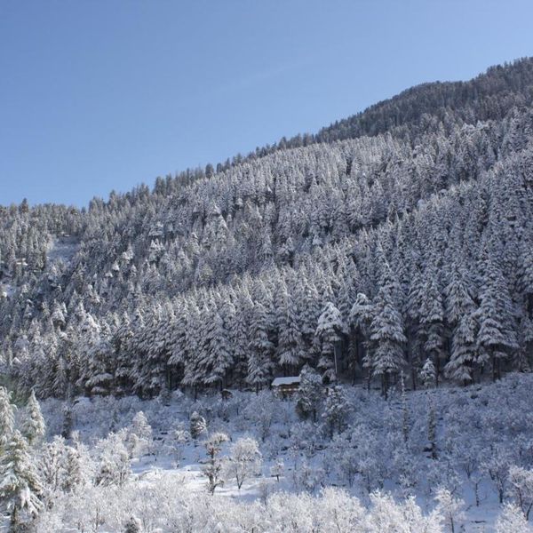 Sarthak Resorts-Reside in Nature with Best View