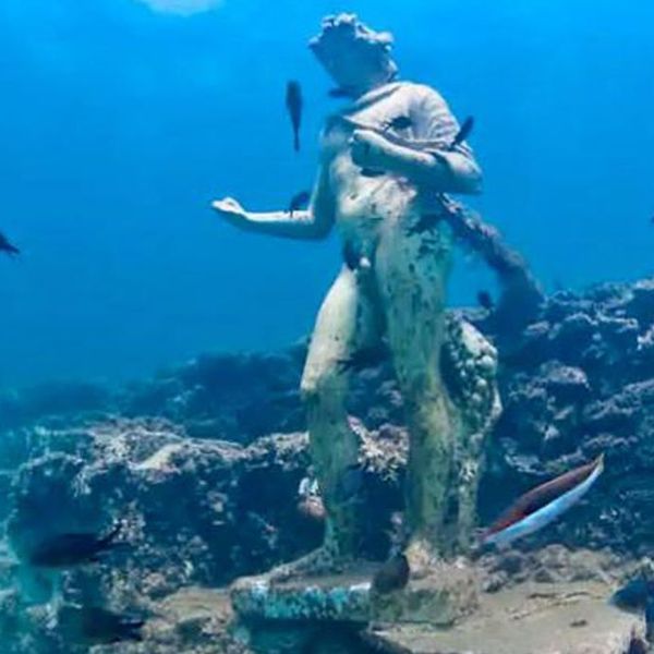Visita Parco Sommerso di Baia con Imbarcazione Nemo