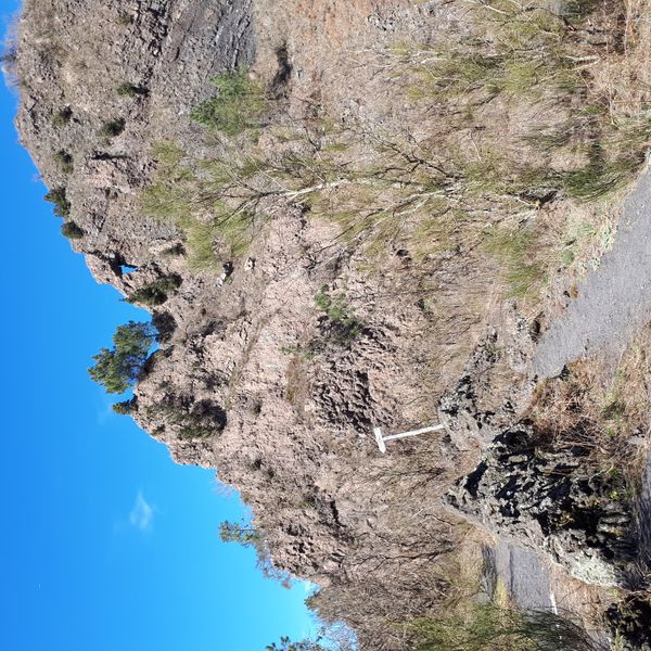 Vesuvio - Escursione sentiero n.1 Valle dell'Inferno con Guida Privata