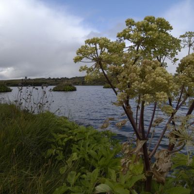 3 giorni Akureyri e Mývatn Area (andata e ritorno da Reykjavík) - Tour privato