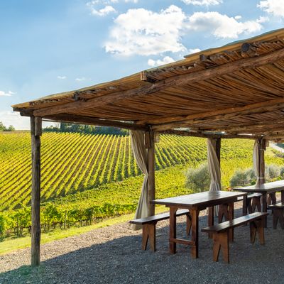 Agriturismo Fattoria La Loggia