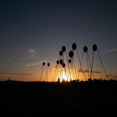 Agriturismo Fattoria La Loggia