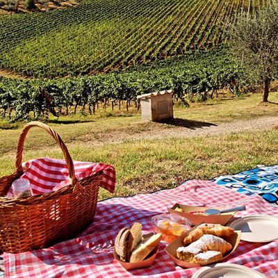 Agriturismo Fattoria La Loggia