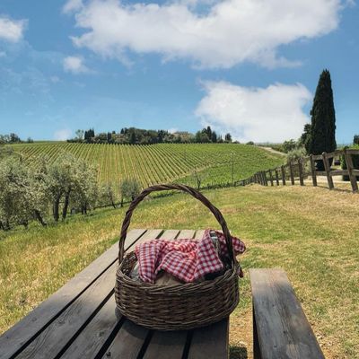 Agriturismo Fattoria La Loggia