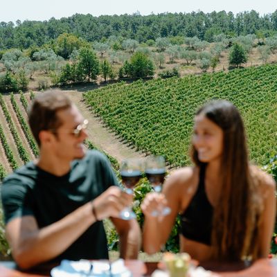 Agriturismo Fattoria La Loggia