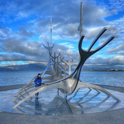 Blue Lagoon & Reykjavík Sightseeing - Tour Privato
