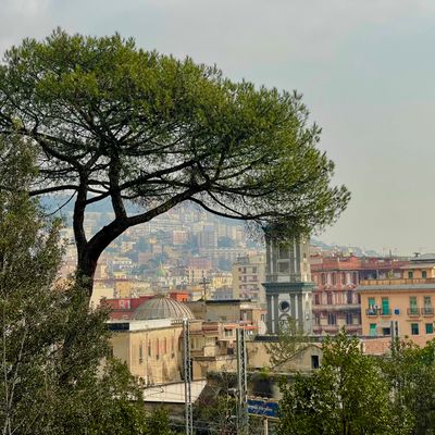 Naples: visite avec guide privé du tombeau de Virgilio et des Léopardi du parc Vergiliano