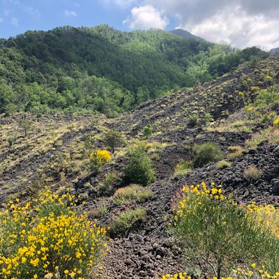 维苏威火山公园：在9号步道上徒步旅行，熔岩河